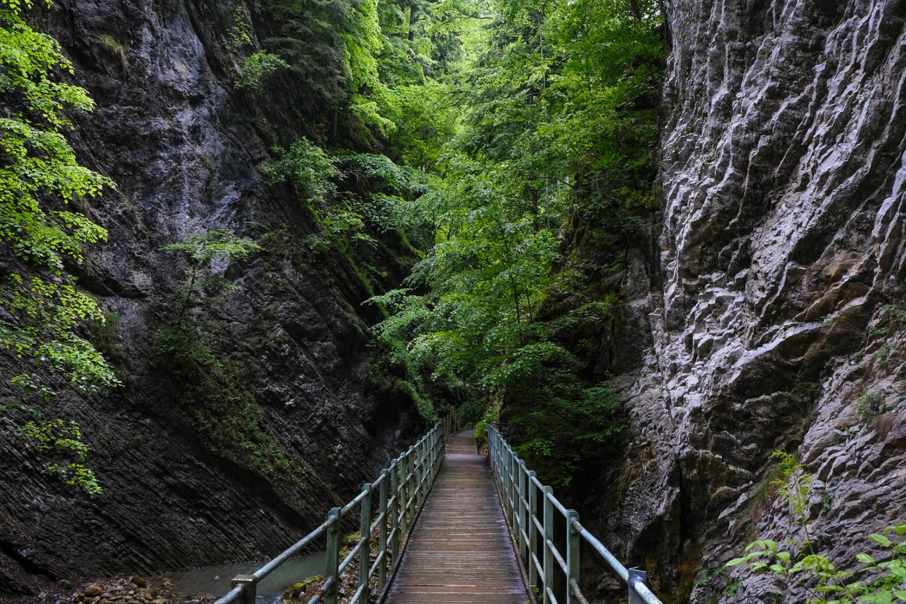 Gorges de la Jogne_Passerelle