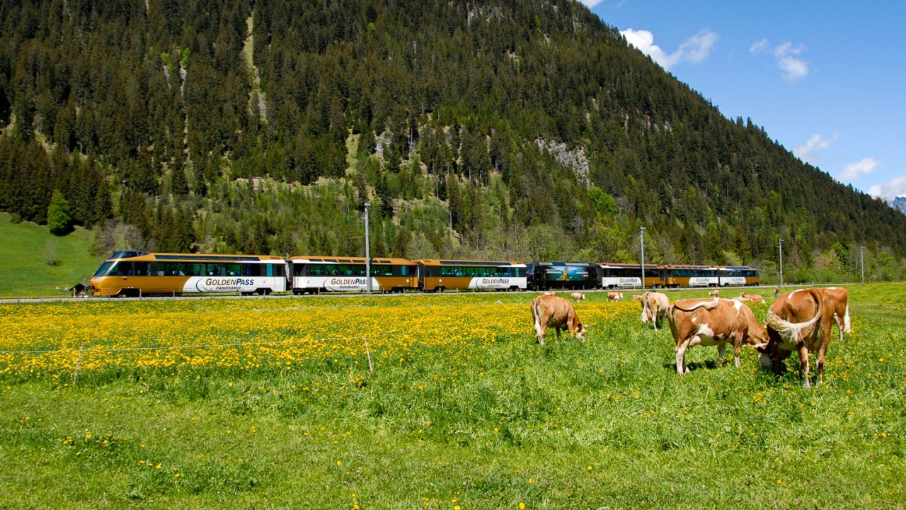 Golden Pass et champs-1538x865